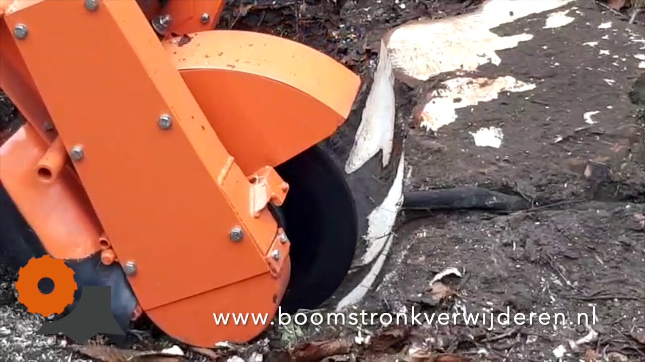 Boomwortels en boomstronk verwijderen met nieuwe stobbenfrees - eerste trial video 2020