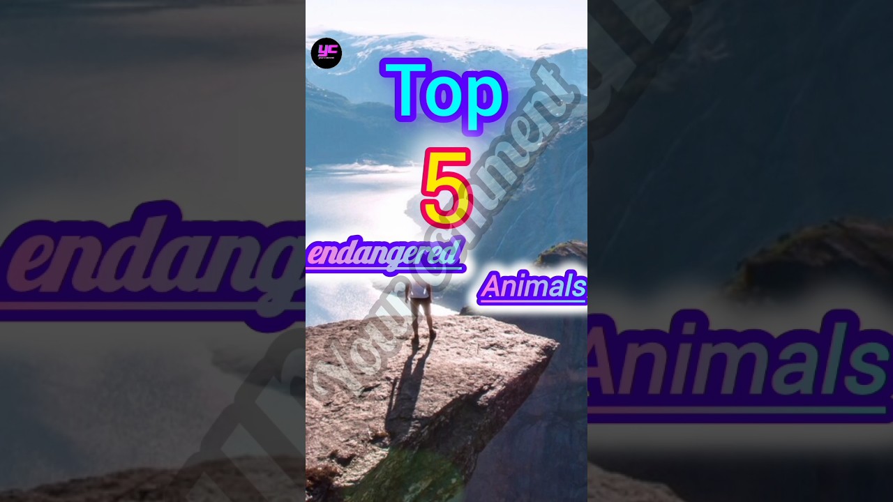 top 5 endangered animals @yourcomment 