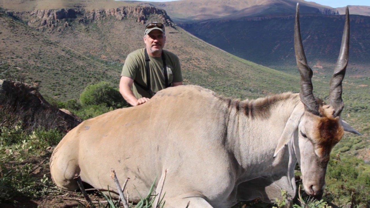 Karoo Wild Safaris