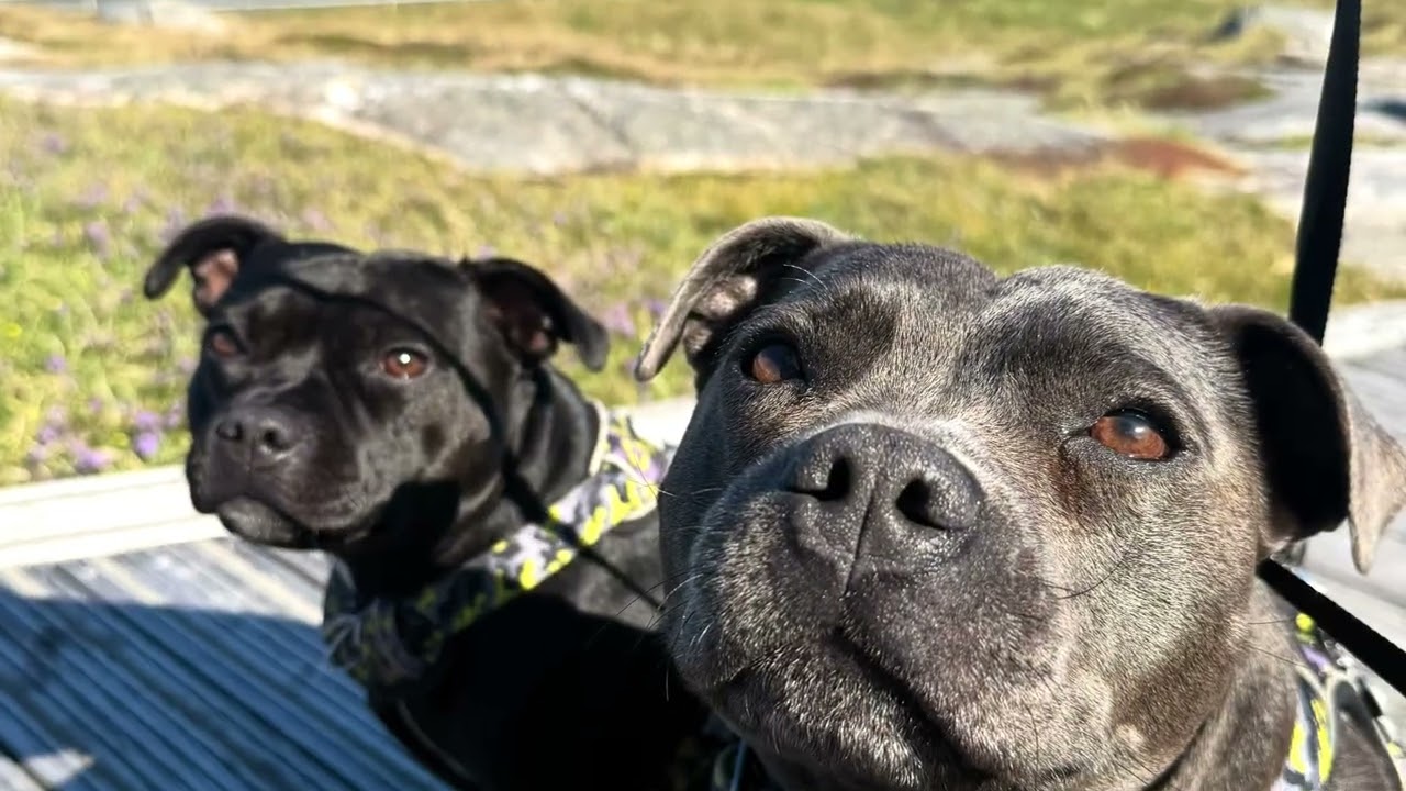 Isle of Lewis & Harris
