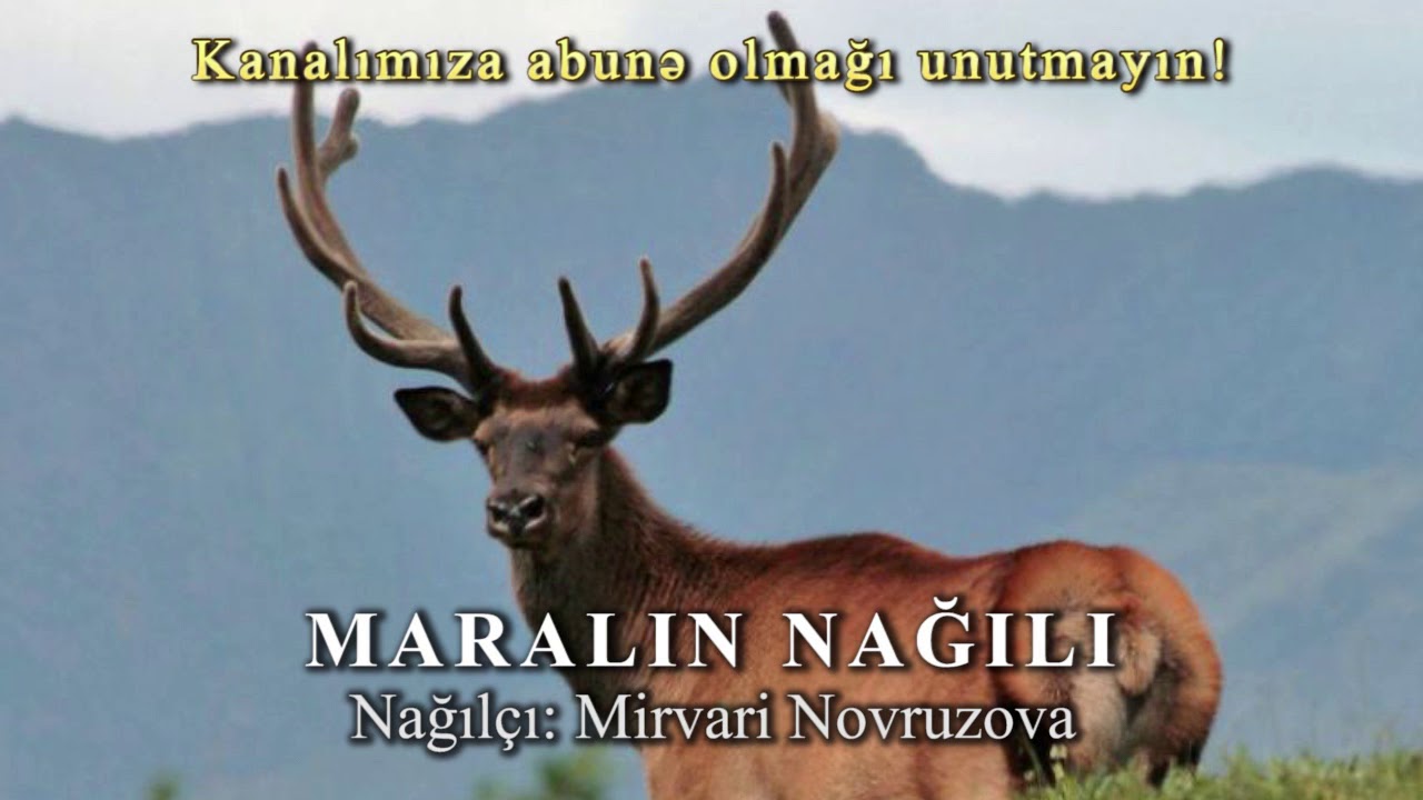 Maralın nağılı (nağılçı - Mirvari Novruzova)