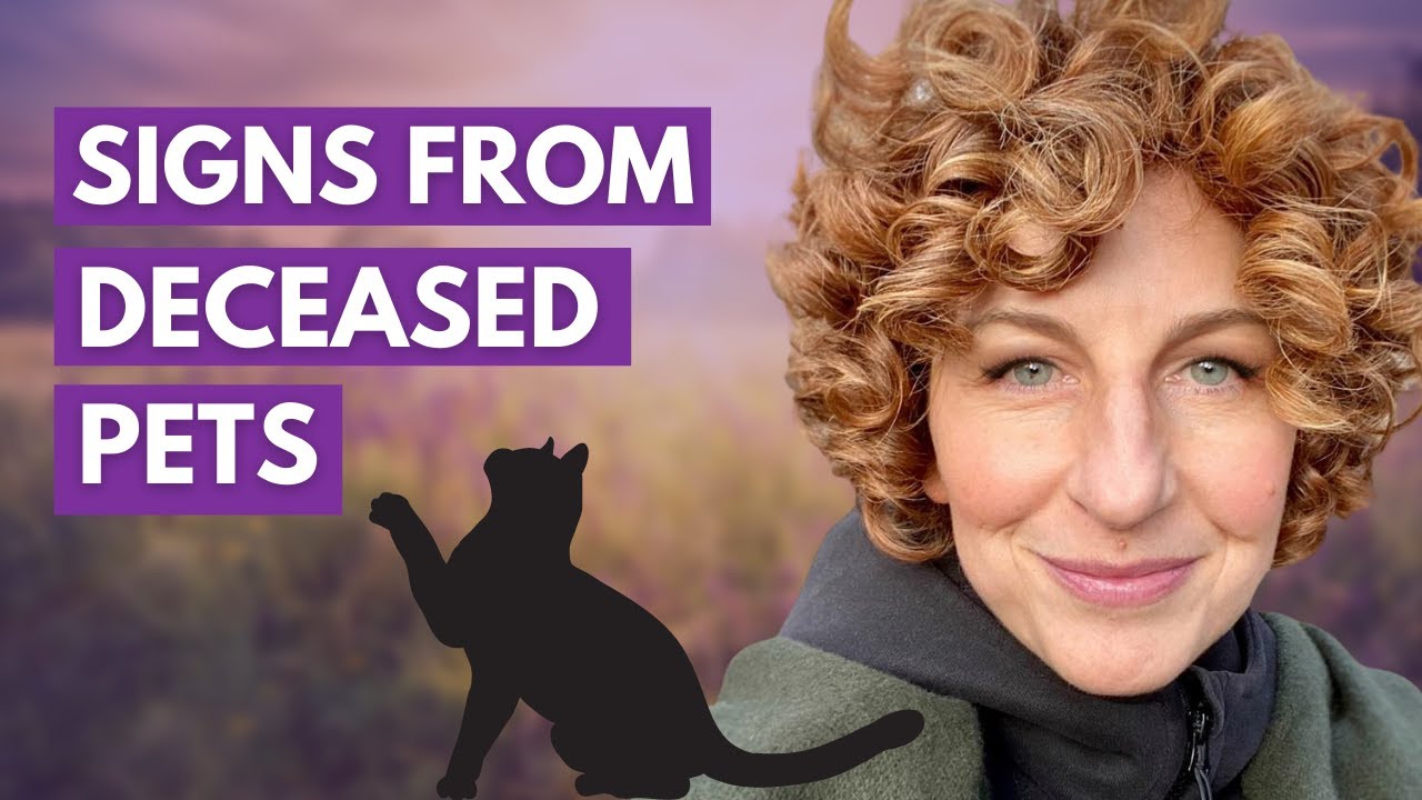 Signs That Your Deceased Pet Is Near You - with Animal Communicator Danielle MacKinnon