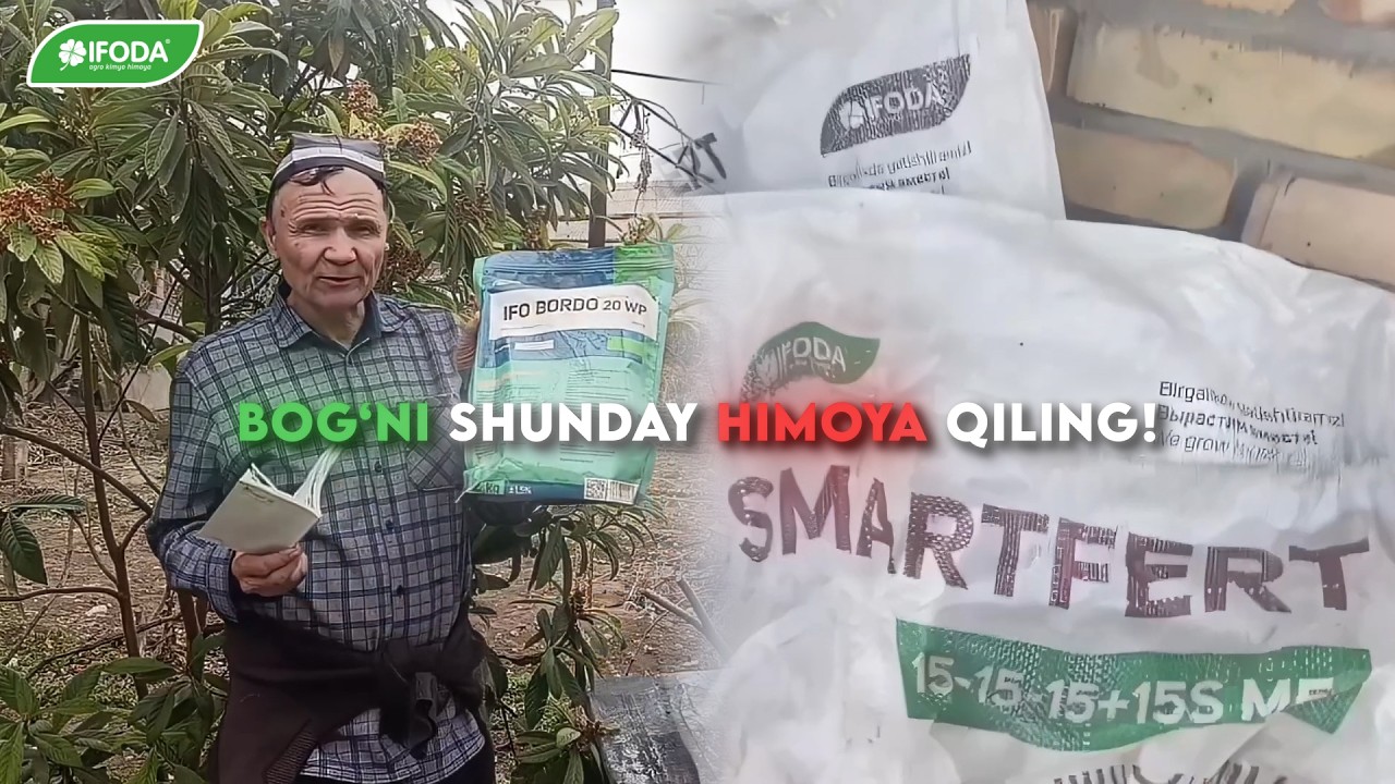 Bahor Keldi! Bog‘ni Qanday Ishlov Beramiz IFO Bordo va SmartFert Amalda