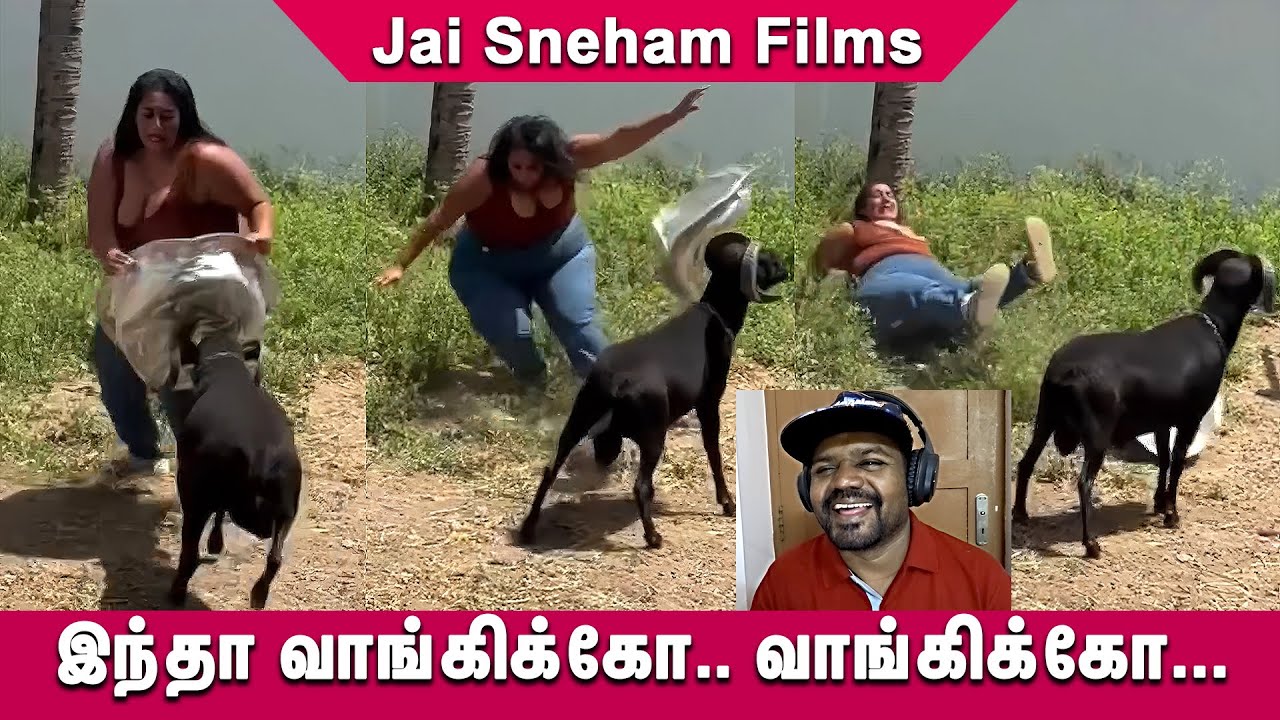 😂😎Funny Video இந்தா வாங்கிக்கோ வாங்கிக்கோ | Reaction video | #funny #comedy🤩🤣 Jai Sneham Films