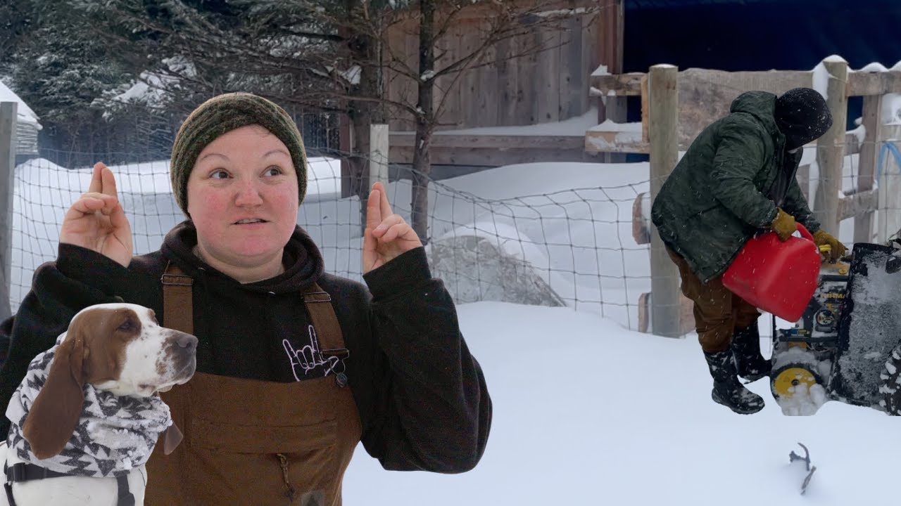HUGE winter storm blows through our homestead! Tackling the farm in DEEP SNOW! + Barn moving update
