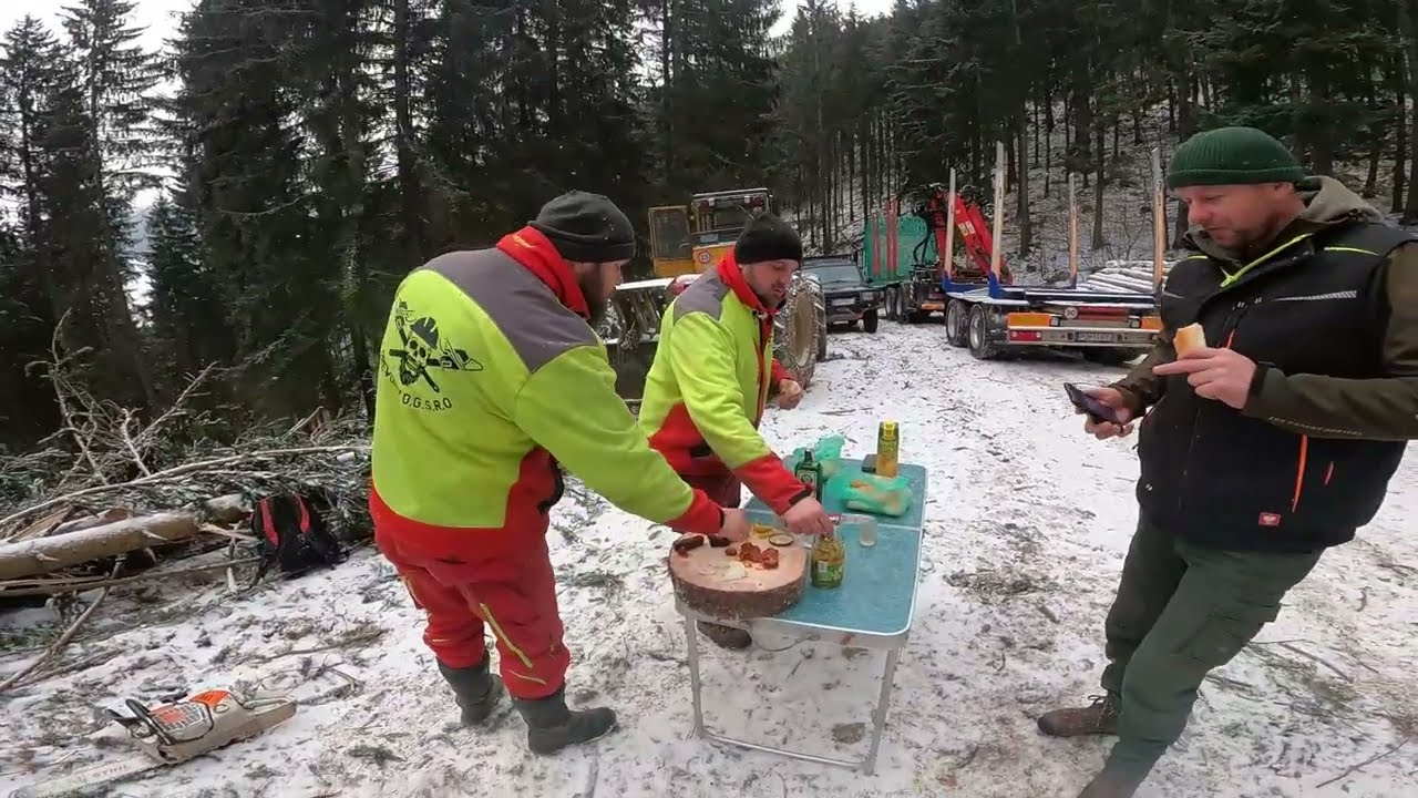 LKT 81 Turbo a lesná lanovka - Raňajky sú základ 💪 Vyrezanie novej linky cez potôčik a odvoz dreva.