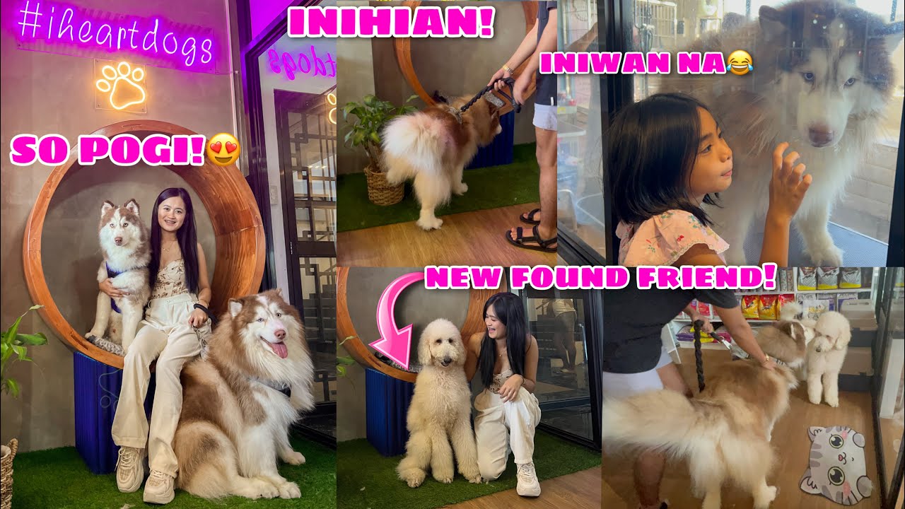 Leon & Hercules Goes To Cavite! ft. Happy Tails Pet Grooming Cafe | Husky Pack TV