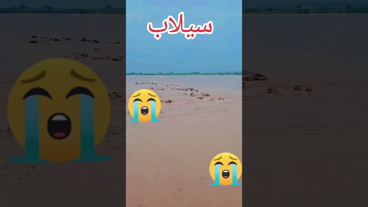Flood in Pakistan 2025 | Ravi river flood #floodinpakistan #flood