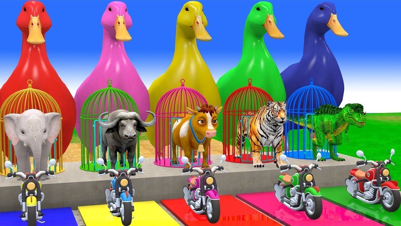 Long Slide Game With Elephant, Boar, Camel, Bear, Antelope - 3D Animal Games - Funny 3D Animals