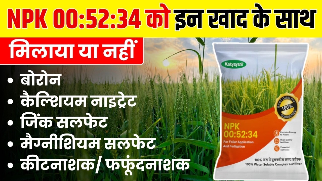 NPK 00:52:34 बोरोन, कैल्शियम, जिंक के साथ मिलाएँ या नहीं? पूरा सच, fertilizers mixing Combination