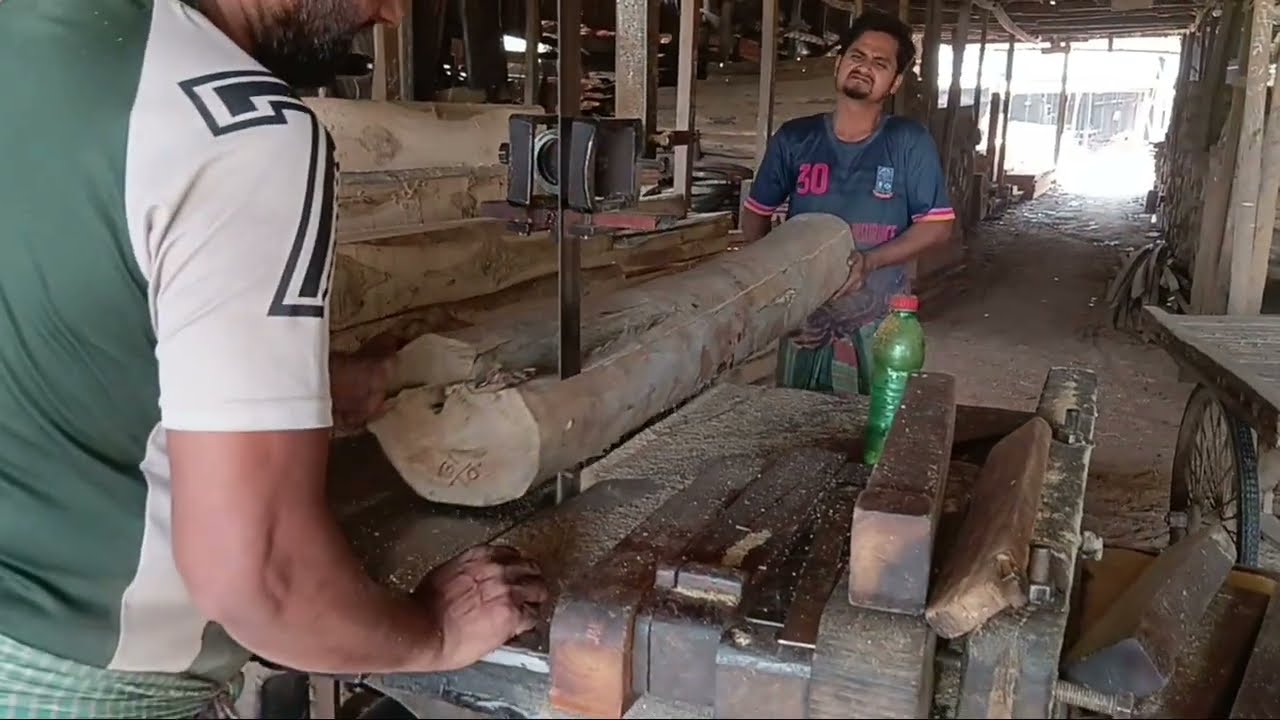 See how teak wood is cut at the mill | সেগুন কাঠ #woodworking 
