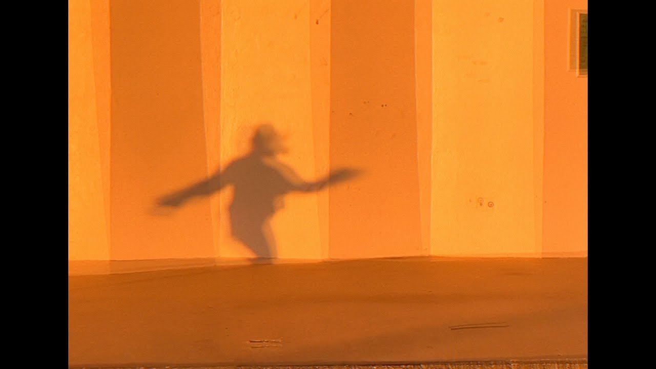 Stray Fossa - Best Kind of Moment (Official Video)