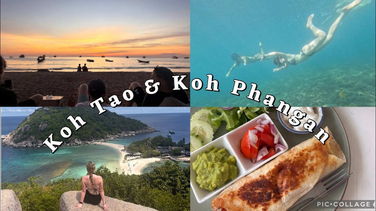 Koh Tao & Koh Phangan Vlog🏝️🐠 | 4th October - 10th October
