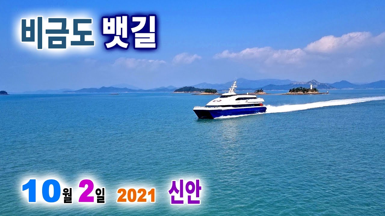 비금도◈  천사대교→암태도남강항→비금도가산항→비금도