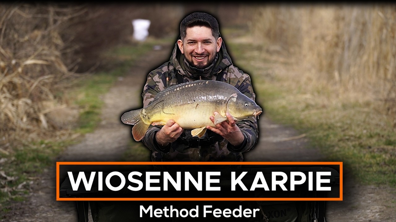 FISH after FISH! SPRING carp on METHOD FEEDER