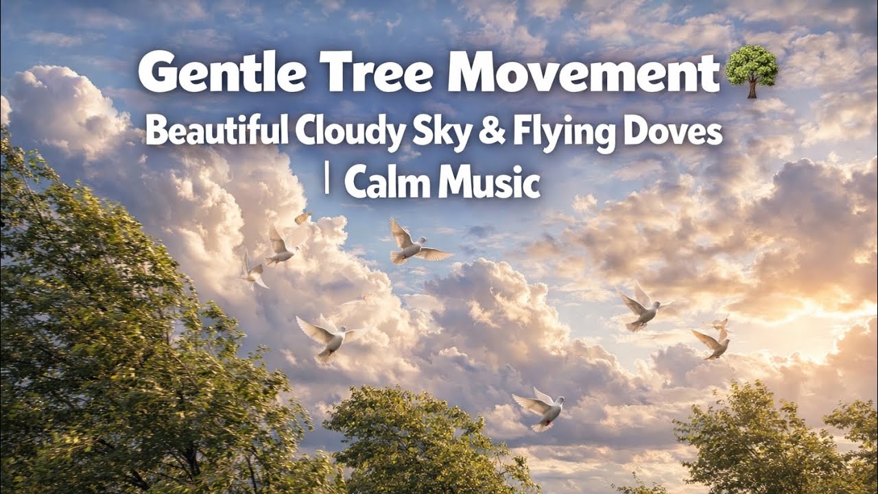 Soft Moving Trees 🌿 Peaceful Clouds & Doves in Flight | Relaxing Music 🌳🦜
