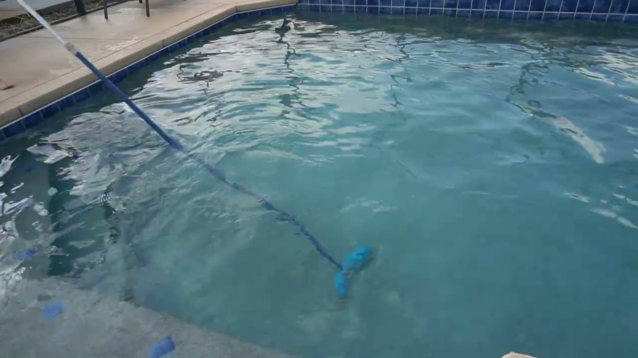 Sweep Ease Stingray Pool Brush