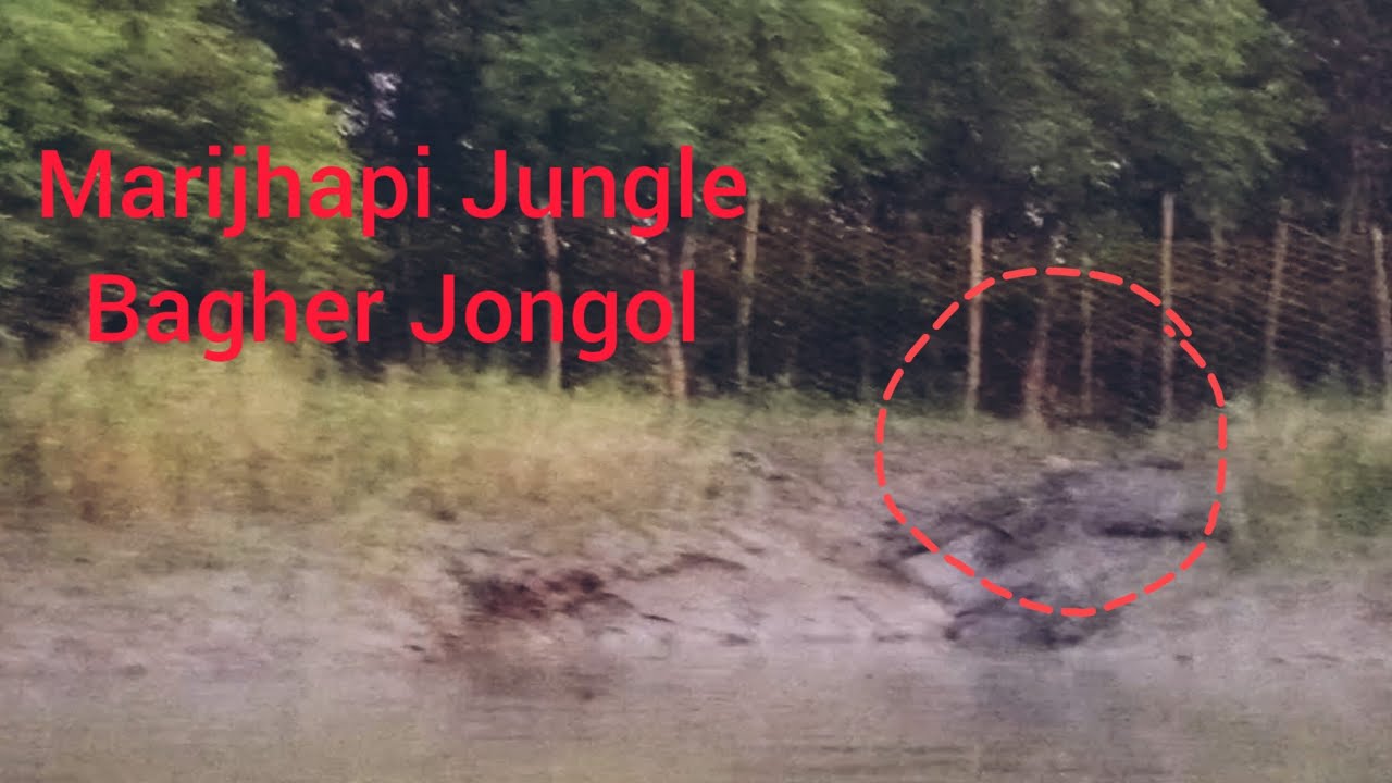 Marijhapi Jungle | Bagher Jongol|#Royal Bengal Tiger |#Sundarban Diaries| # Kumirmari