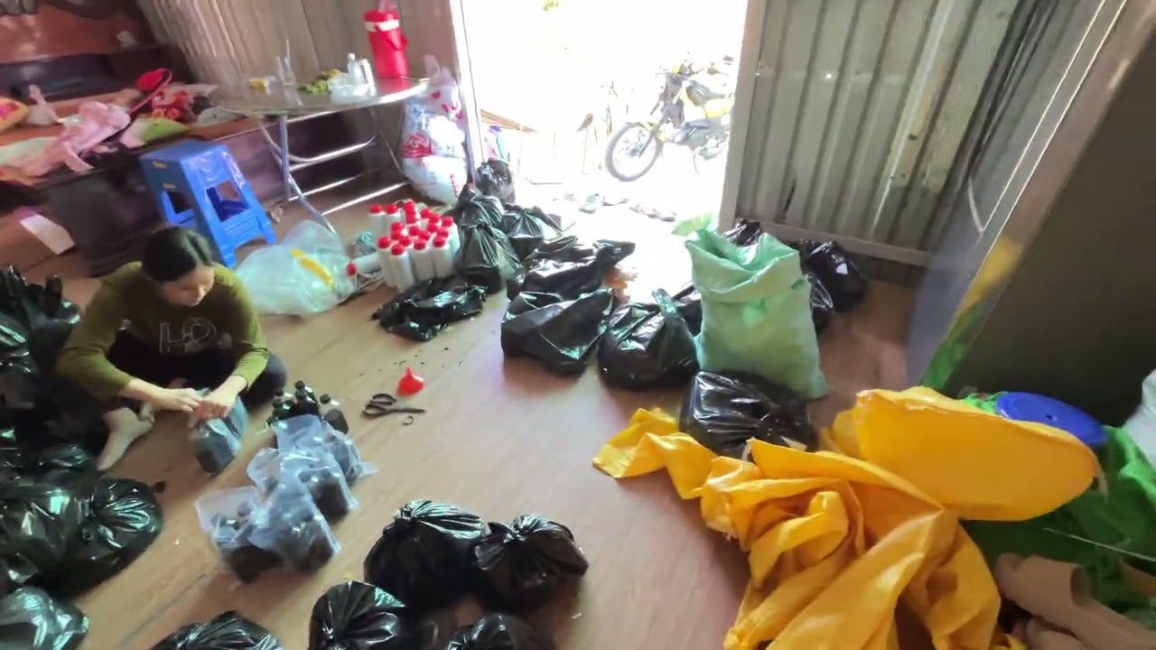 Cập nhật thuốc kích bông mận hiểu quả hơn mong đợi 0965417733 zalo 