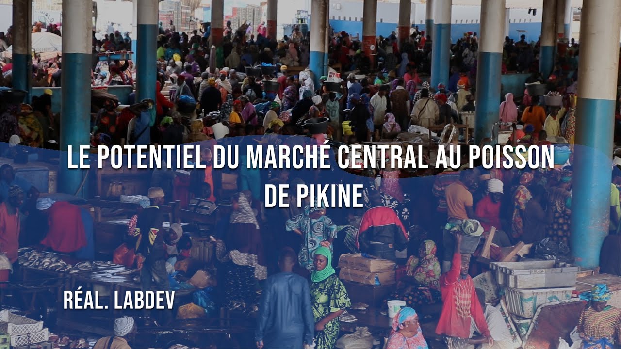 L'économie bleue au Sénégal : Le marché central au poisson de Pikine