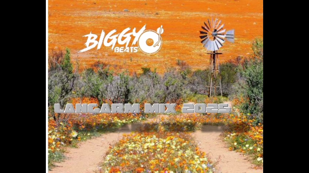 Biggybeats-Langarm Mix 2025