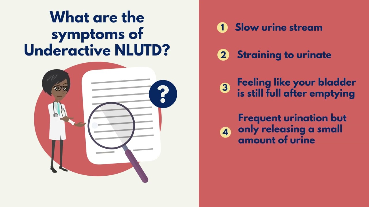 What is Underactive Neurogenic Lower Urinary Tract Dysfunction (NLUTD)?
