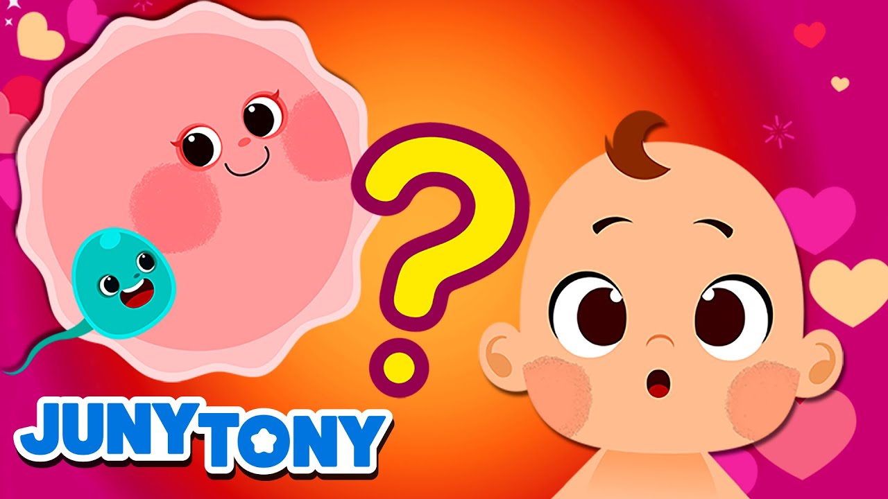 ¿Cómo Nace un Bebé? | ¿De Dónde Vienen los Bebés? | Canciones Infantiles | JunyTony en español
