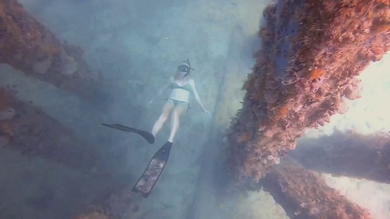 Freediving fun at Mosquito Pier, Vieques