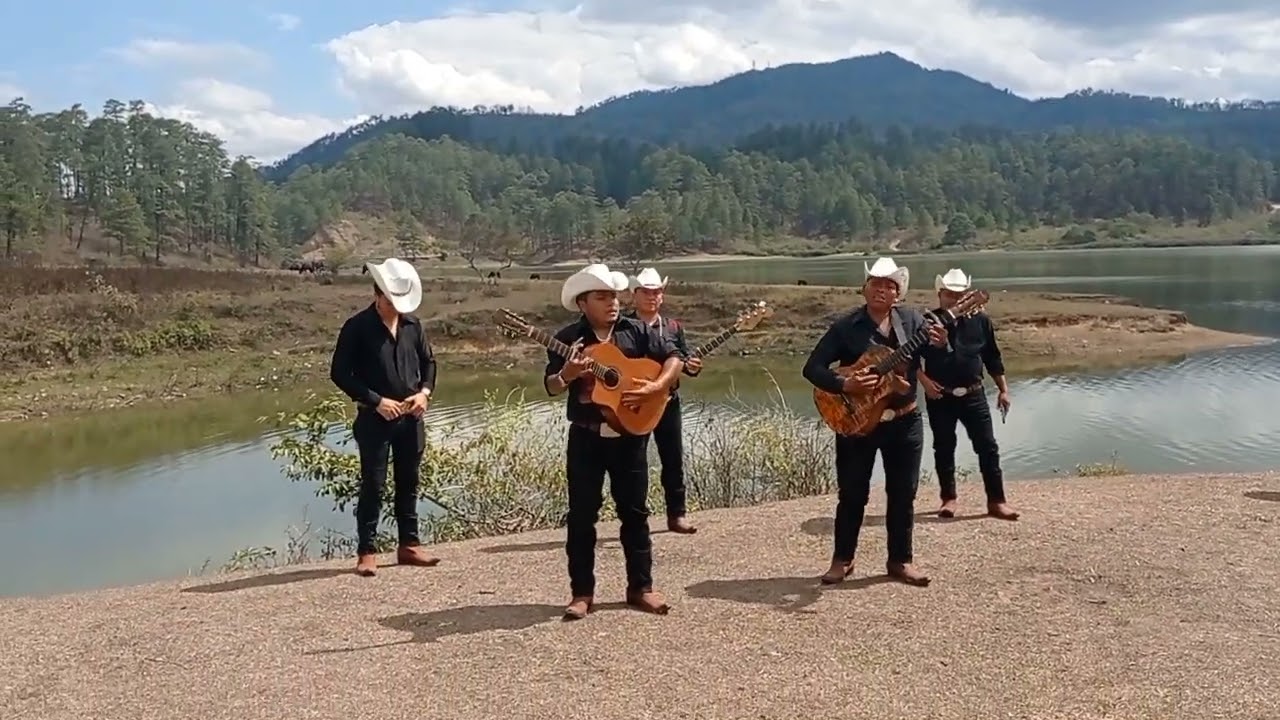 los Hermanos Garcia tema musical lejania