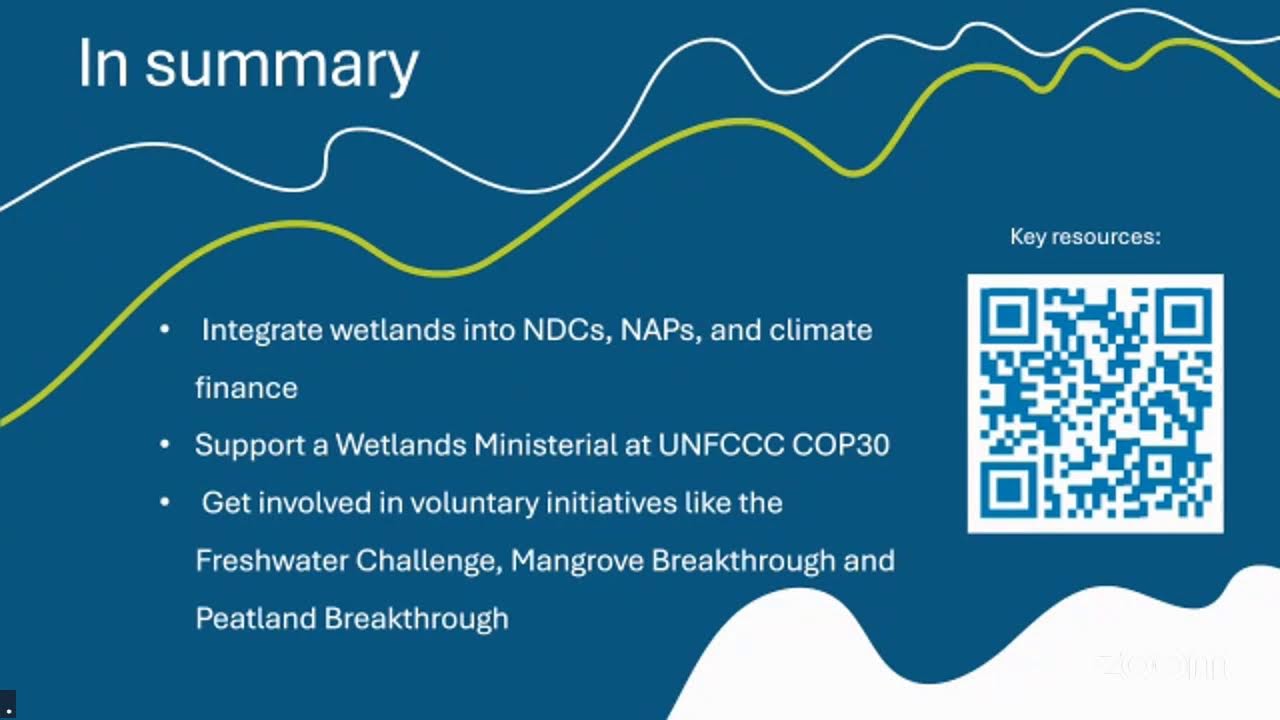 Wetlands for climate: prioritising wetland conservation and restoration in climate policy