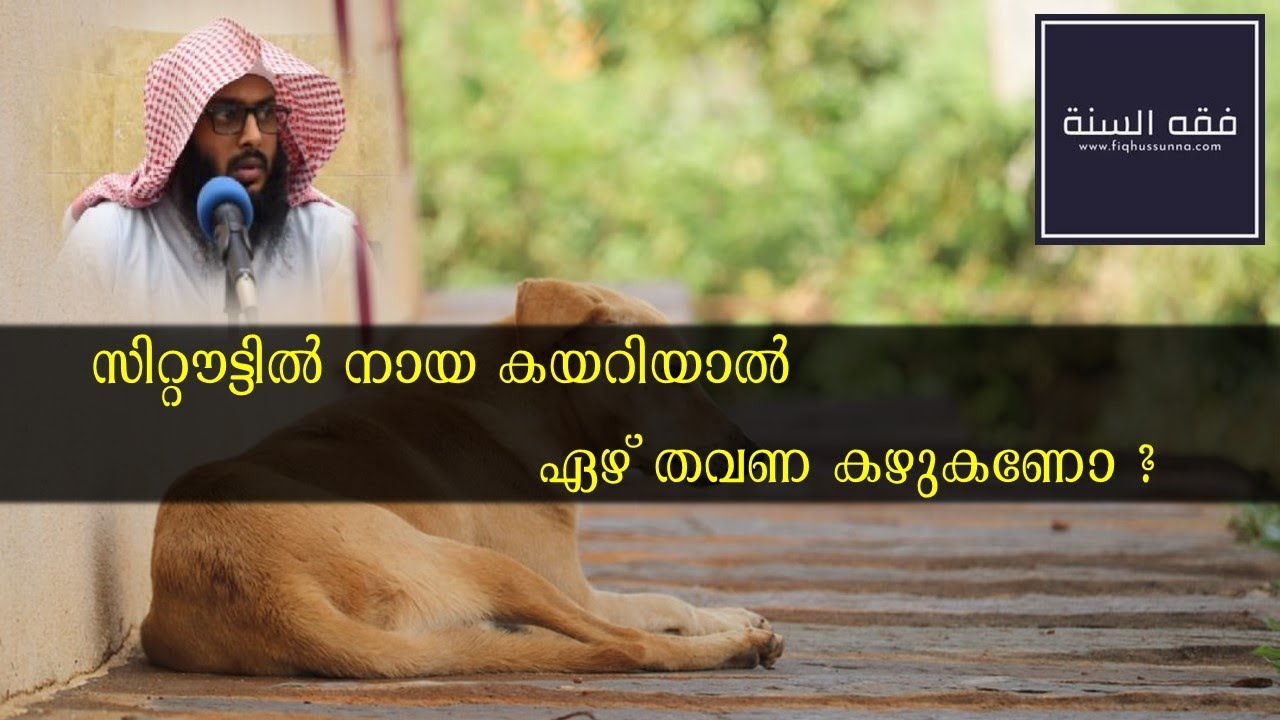സിറ്റൗട്ടിൽ നായ കയറിയാൽ ഏഴ് തവണ കഴുകണോ ?  I  Abdu Rahman Abdul Latheef P.N