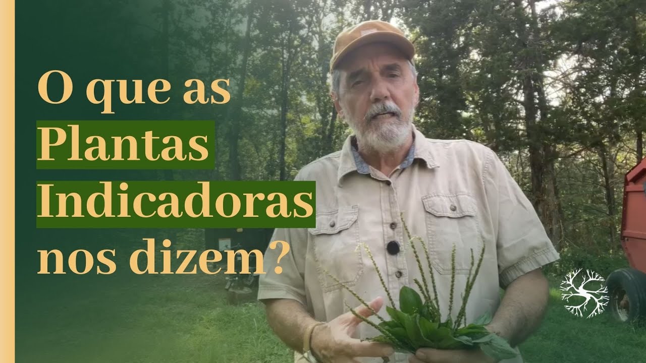 O que as Plantas Indicadoras nos dizem sobre o nosso terreno?
