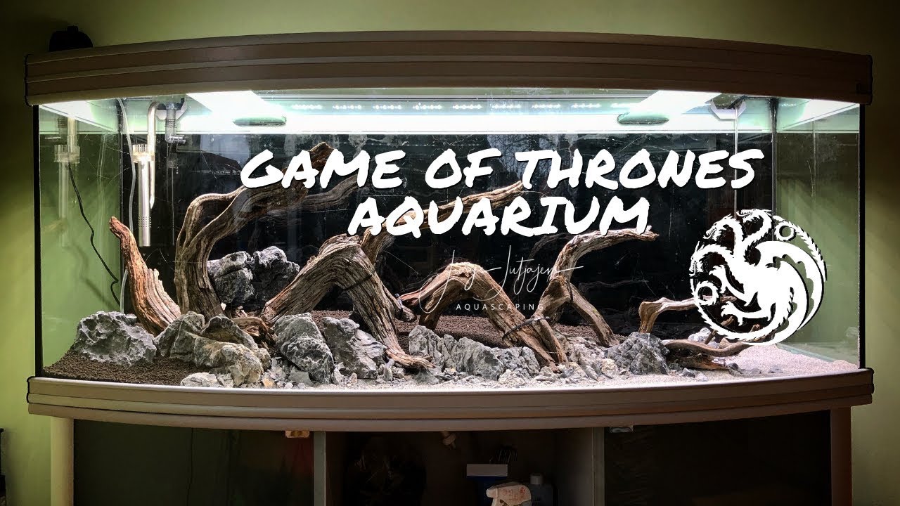 Game of Thrones Aquarium | Aquascaping Step by Step Tutorial - Dragon Aquascape 🐉