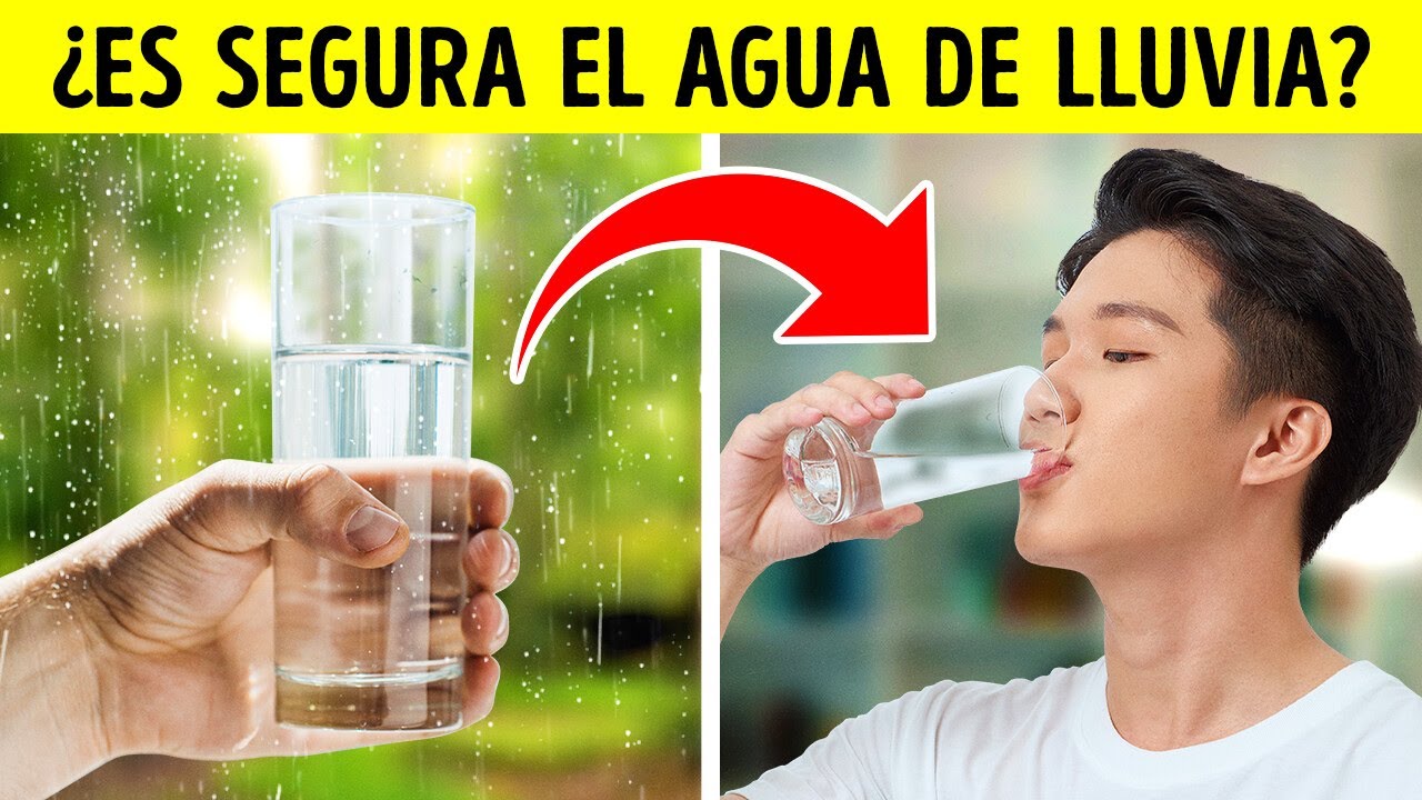 Qué tan cierto es que se puede beber agua de lluvia y otros 20+ datos interesantes sobre el cuerpo