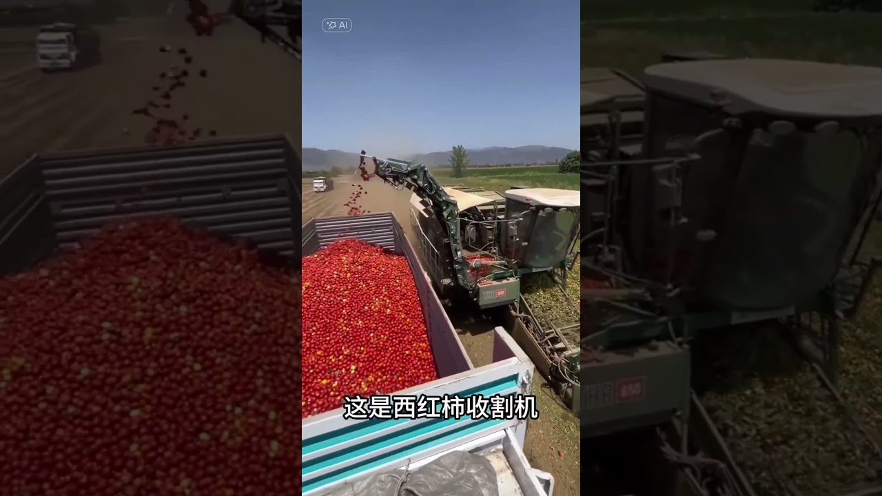 Have You Seen Agricultural Harvester Like This? Absolutely Stunning!