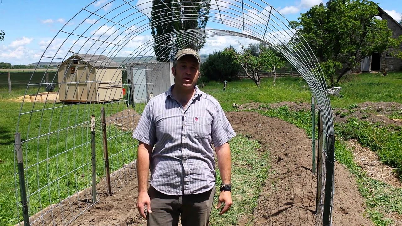 Garden Trellis