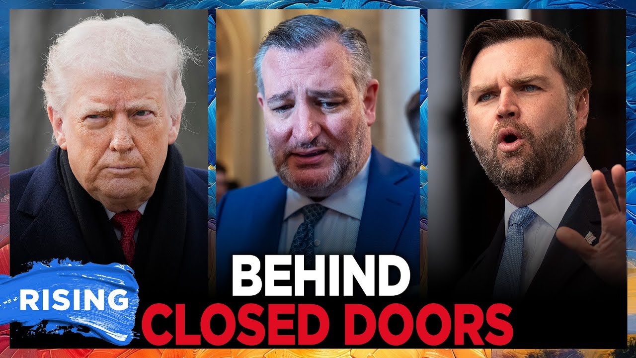 LEAKED AUDIO: Ted Cruz BASHES Trump Tariffs, JD Vance: Axios | RISING
