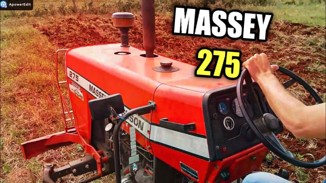 Trator Massey Ferguson 275 encara pé de pato – Preparação pesada no campo!