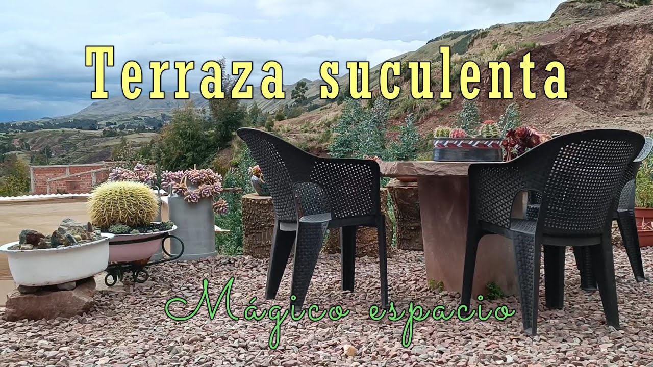 Terraza suculenta, un lugarcito con mucho arte suculento #suculentas #villalindura #jardin