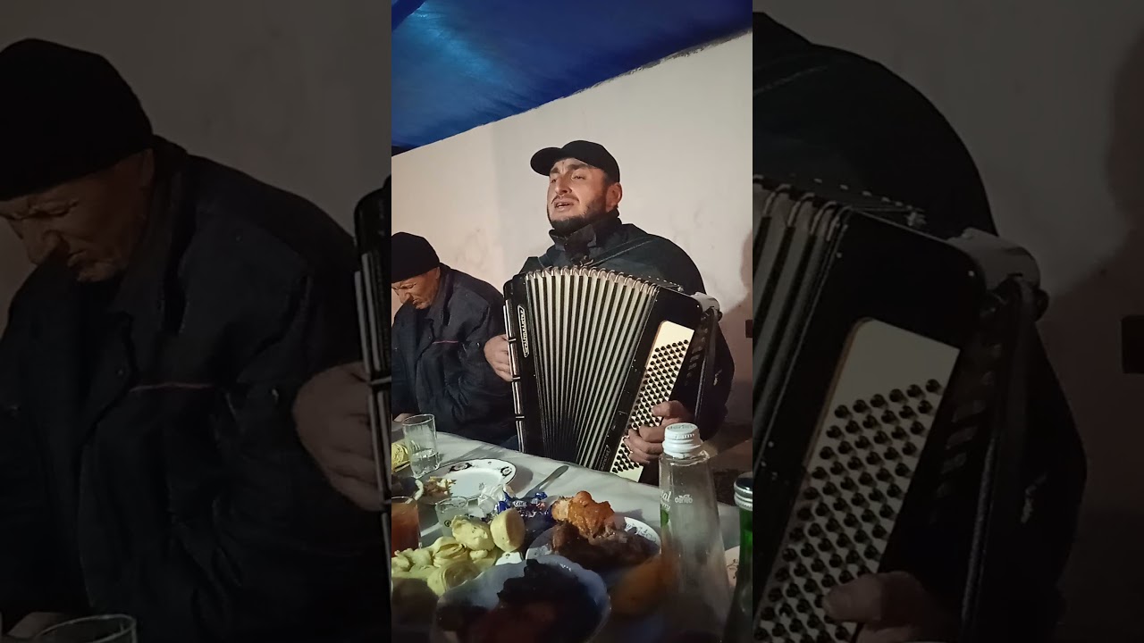 Заур мулебкинец