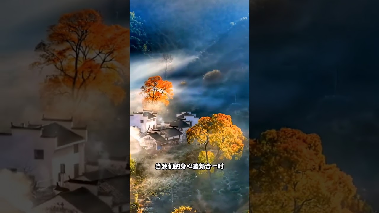 【养生大讲堂】 #黄帝内经 #中医养生 #养生知识 #中医 8 mp4
