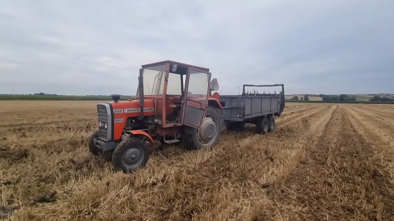 Obornik za słomę. Taka zamiana. Zapach pieniędzy😁💩💵