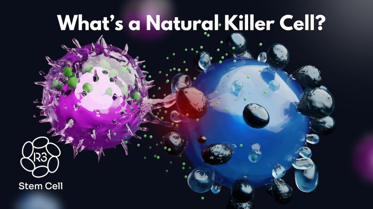 What are Natural Killer Cells? +1(844) 4NK-CELL