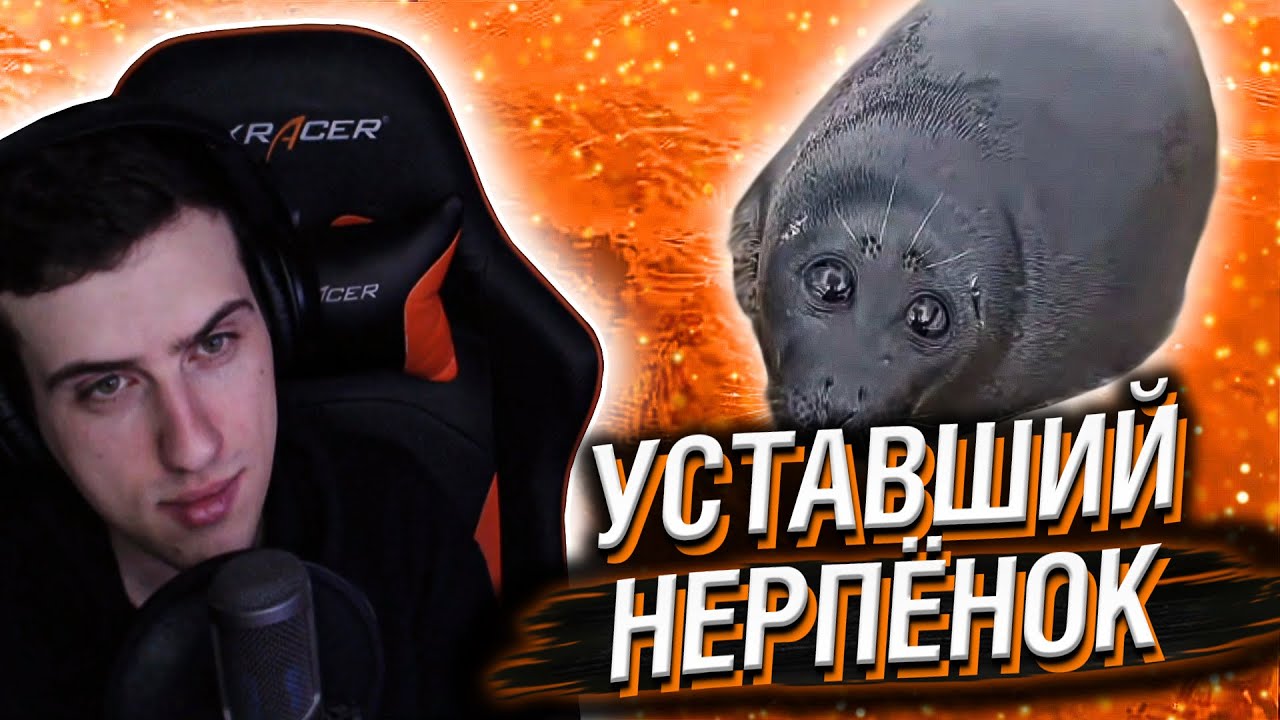 УСТАВШИЙ НЕРПЁНОК // РЕАКЦИЯ HELLYEAHPLAY