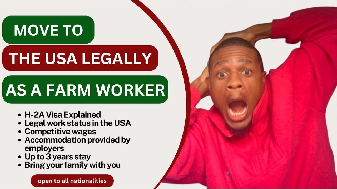 Move to the USA Legally as a Farm Worker | H-2A Visa Explained! 