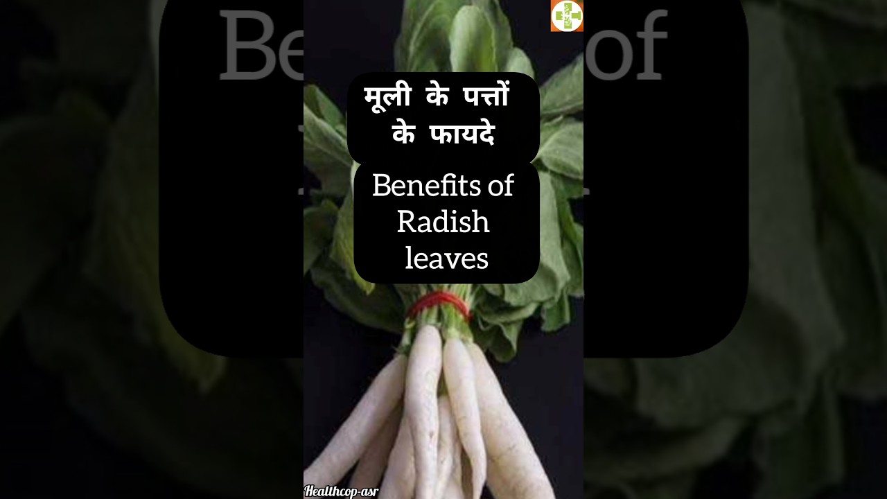 मूली पत्तों के ज़बरदस्त फायदे🌿 Amazing benefits of Radish leaves 