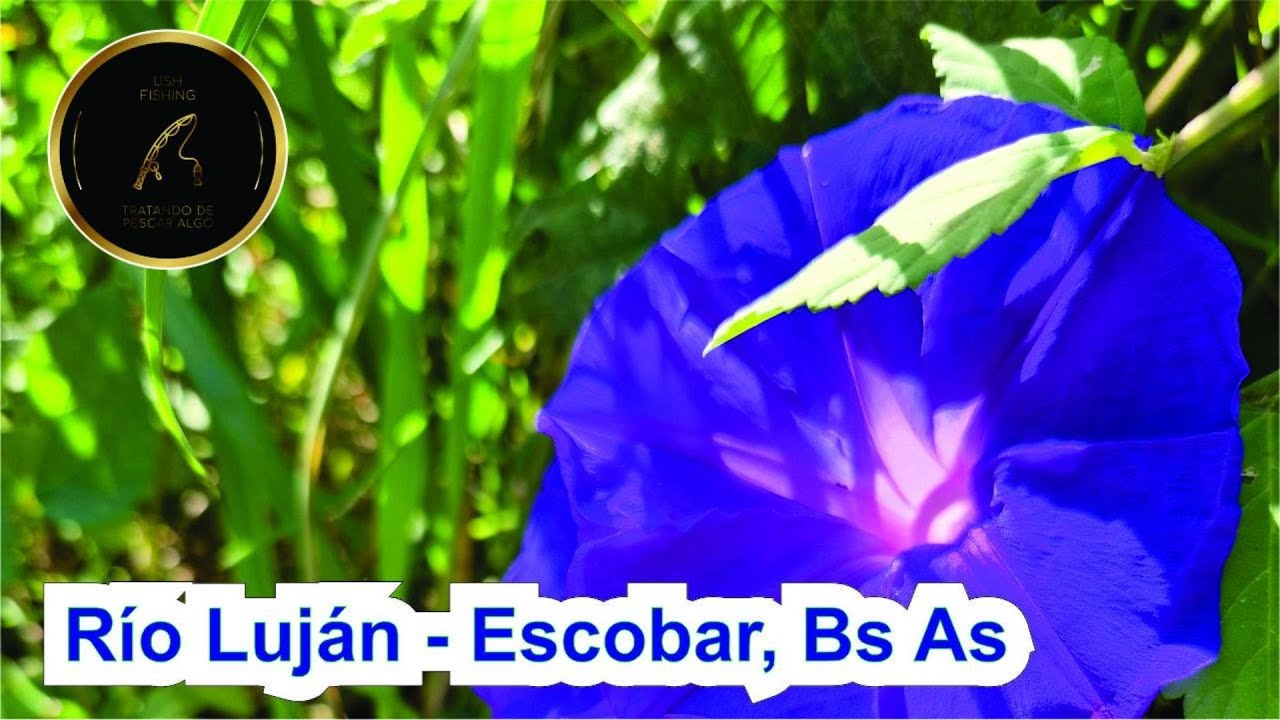 🎣 Río Luján lleno de agua || Escobar, Pcia de Buenos Aires