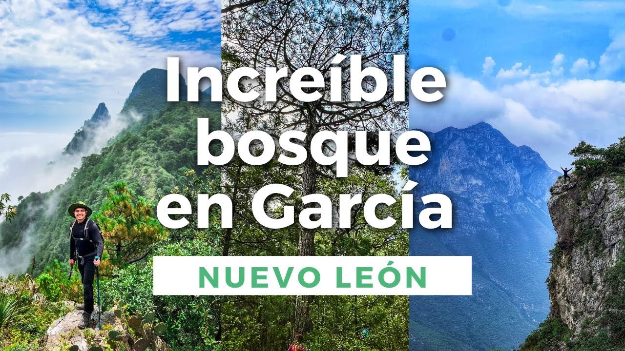 Increíble bosque en García, NL - Mesa de Pinos