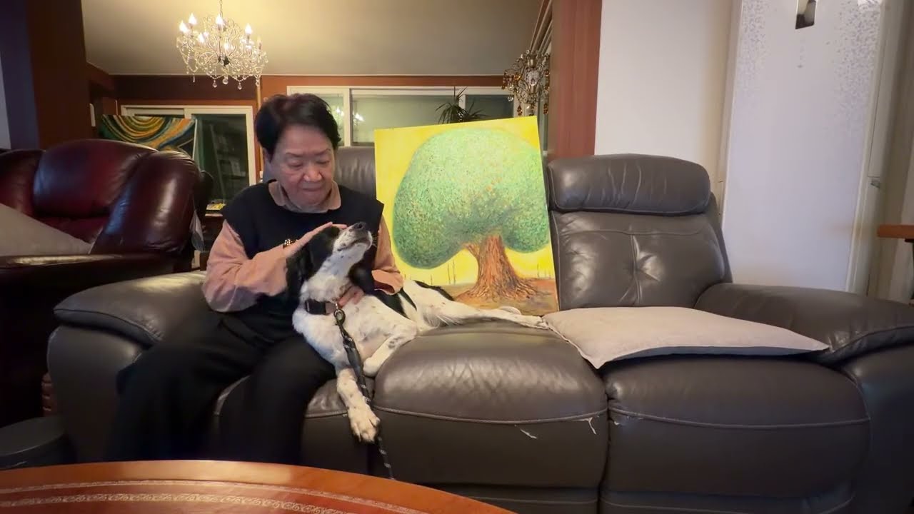 하루 만에 눌러앉아 버린 구조견의 정체//강아지들은 원래 이런가요?? //“A Rescue Dog That Settled In After One Day”