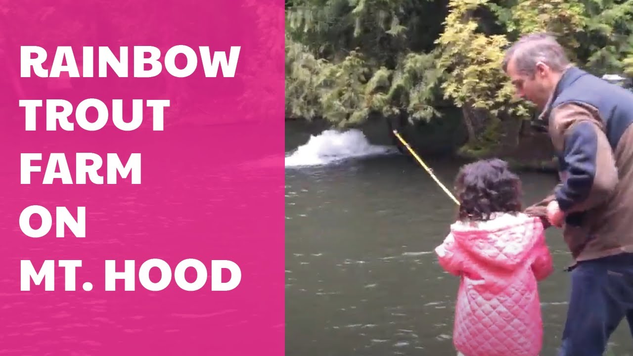 Rainbow Trout Farm in Sandy, Oregon